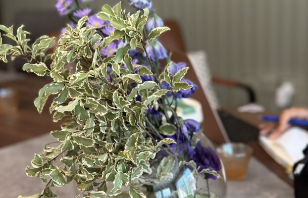 استضافة نادي سماي التربوي من الكويت